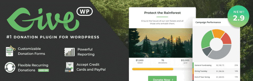 The GiveWP WordPress plugin for nonprofits.