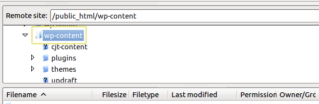 A screenshot of the wp-content folder as seen from an FTP manager.