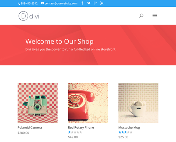 eCommerce Store built with Divi