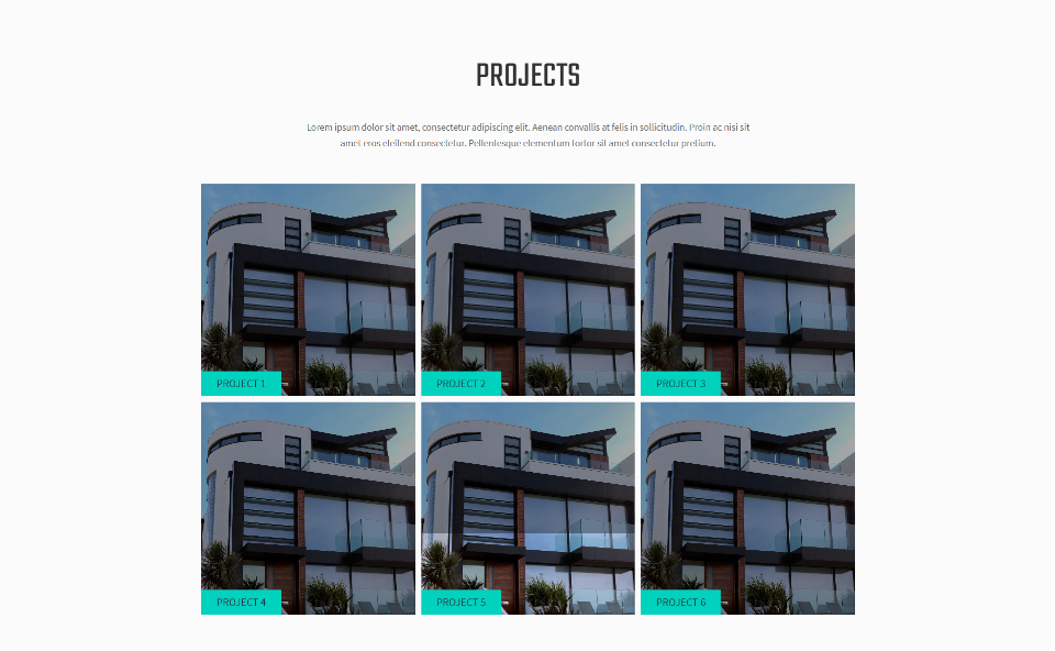 Duriza Home Page Projects Section