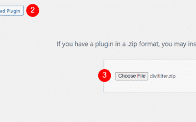 Pleins feux sur le plugin Divi : Divi Filter