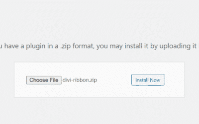 Mise en avant du plugin Divi : Module Divi Ribbon