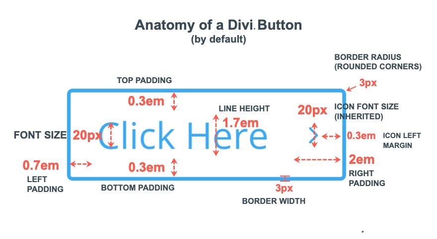 fluid button designs in divi