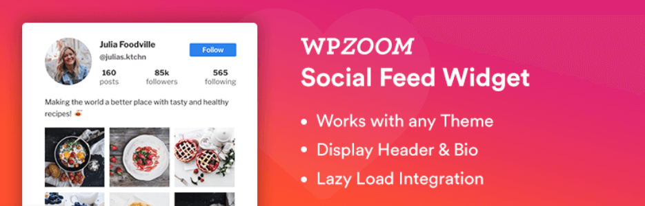 The WPZOOM Social Feed Widget plugin.