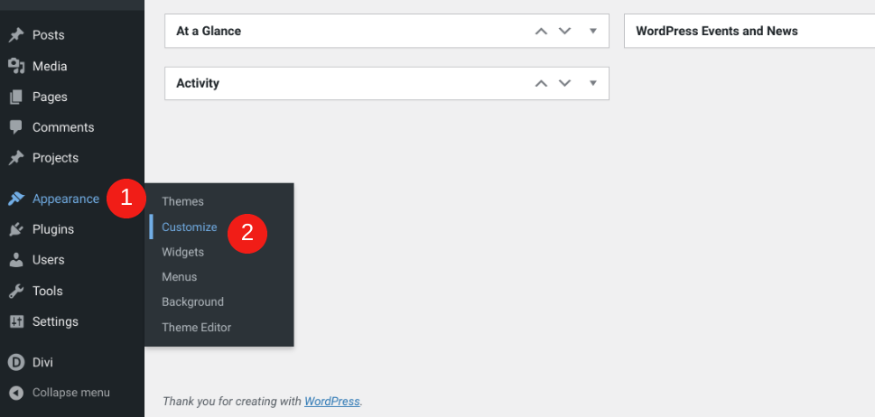 The WordPress Appearance ><div class=