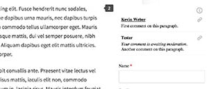 An example of inline comments