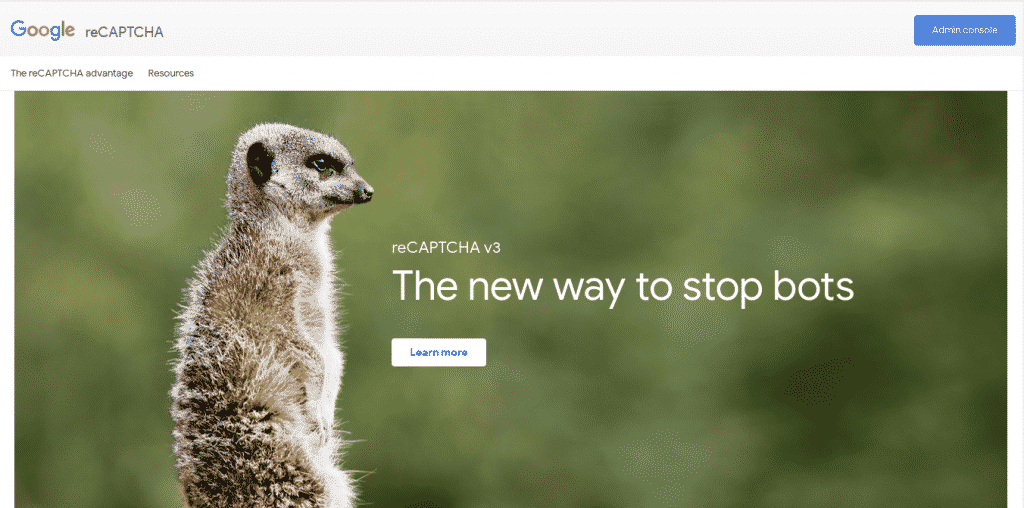 Screenshot of Google reCAPTCHA webpage.