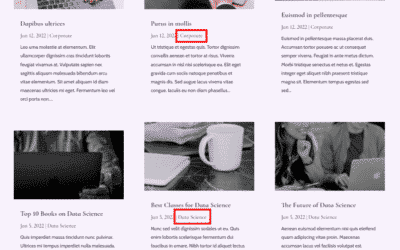Comment afficher les articles de blog par catégorie à l’aide du module blog de Divi