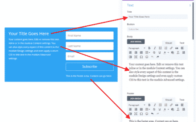 Utiliser le contenu du module d’optin d’email en ligne ou le combiner avec des modules de texte ?