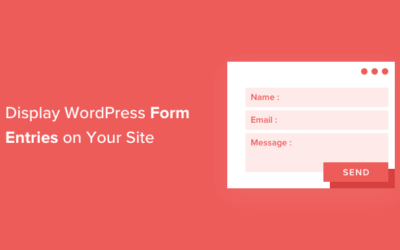 Comment afficher les entrées du formulaire WordPress sur votre site