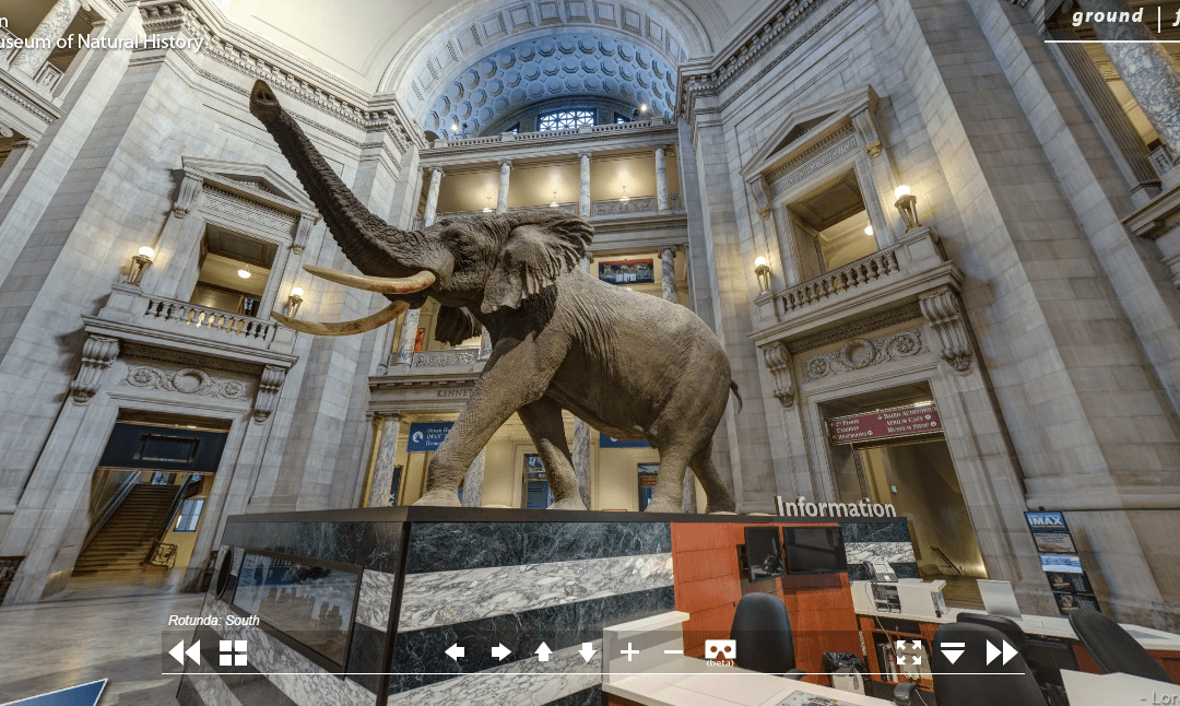 The Smithsonian Virtual Tour