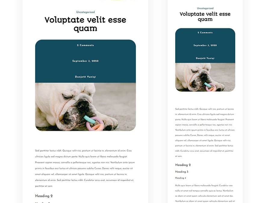 pet supply blog post template