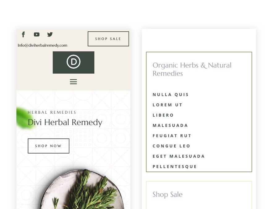 divi herbal rememdy header and footer template