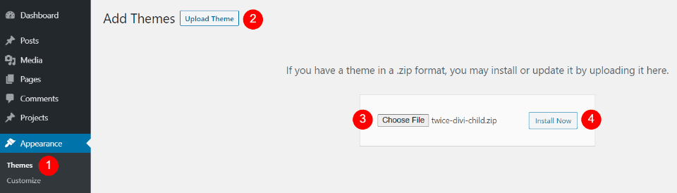 Installing Twice Divi Child Theme