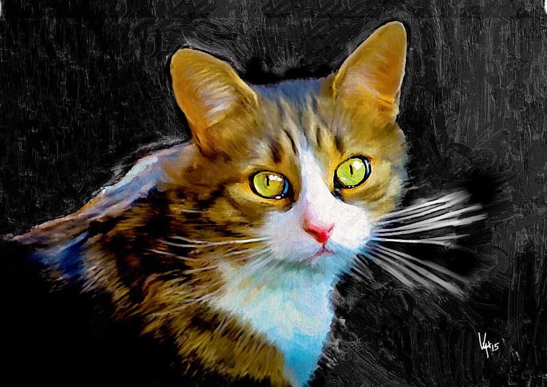 Peinture personnalisée de chat, portrait de chat personnalisé, peinture  danimal de compagnie de cust, portrait danimal