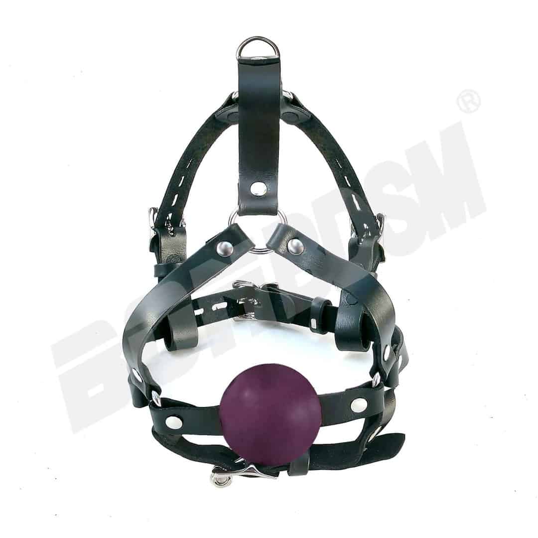 Ball Gag Harness - quality leather and Non-toxic Silicone ballgag mouth  plug - Head Gear Training Harness, Mature - LaFactory