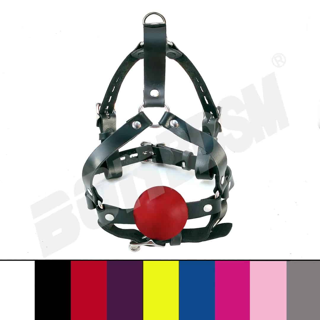 Ball Gag Harness