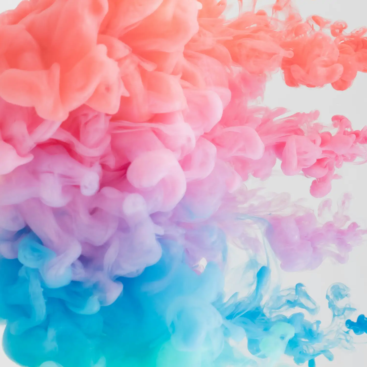FHeader-V11-img1