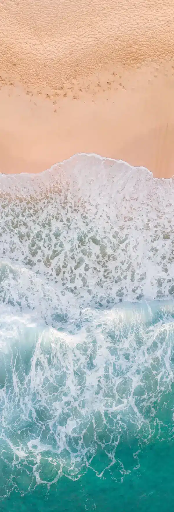 FHeader-V9-img1